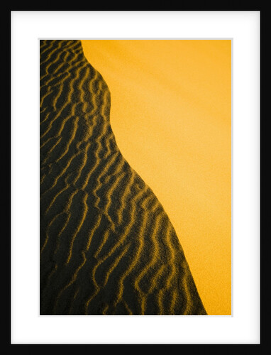 Sand Dune Ridge by Anonymous