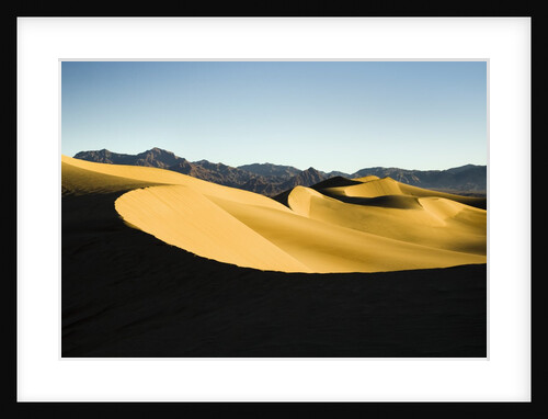 Sand Dunes in Death Valley by Anonymous