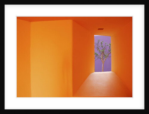 Colorful Architecture in Cabo San Lucas by Anonymous