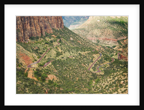 Winding Road in Zion National Park by Anonymous