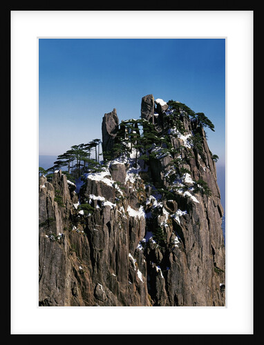 Pine Trees at Top of Yellow Mountains in Spring by Anonymous