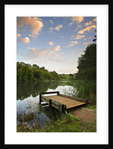 Pier on Cannop Ponds by Anonymous