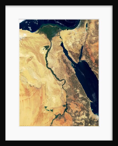 Nile River in Egypt and the Sinai Peninsula by Anonymous
