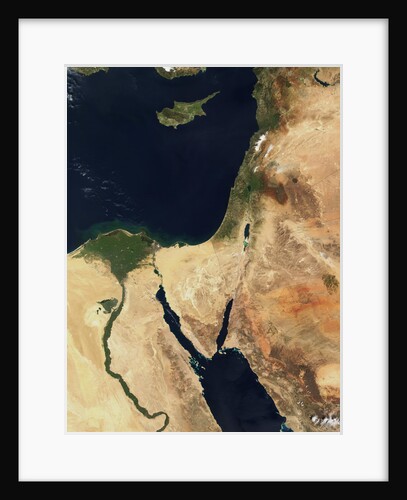 Middle East and the Sinai Peninsula by Anonymous