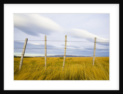 Wire Fence on Ranch by Anonymous