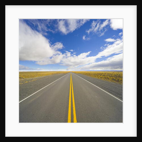 Rural Road Through Grassland by Anonymous