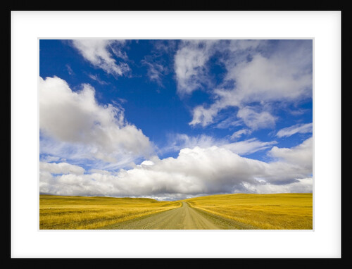 Cumulus Clouds above Rural Road by Anonymous