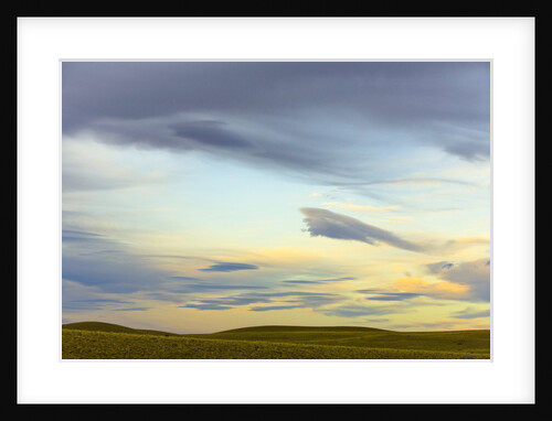 Prairie under Cloudy Sky at Sunset by Anonymous