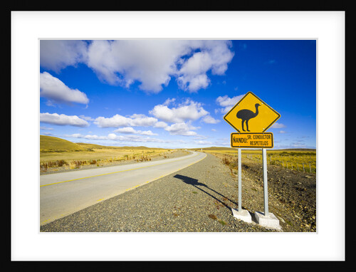 Greater Rhea Crossing Sign on Rural Road by Anonymous