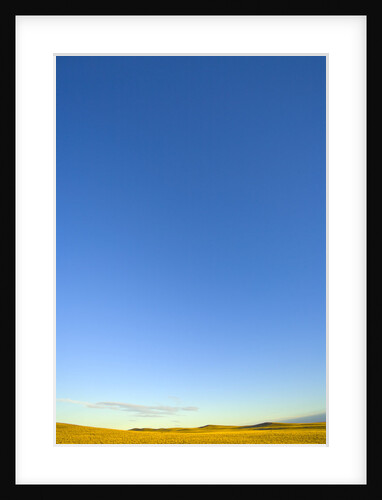 Clear Sky above Grassland by Anonymous