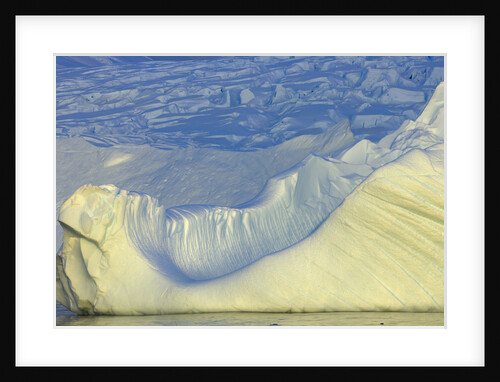 Wiggins Glacier Descending into Sea by Anonymous