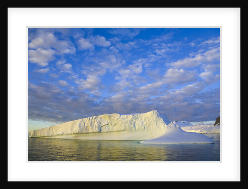Wiggins Glacier in Early Evening Light by Anonymous