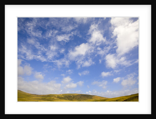 Cumulus Clouds above Tundra by Anonymous