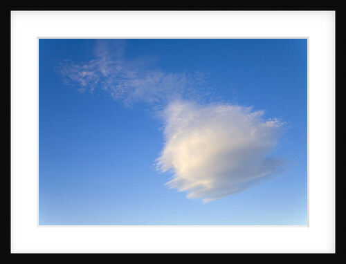 Cumulus Cloud in Blue Sky by Anonymous