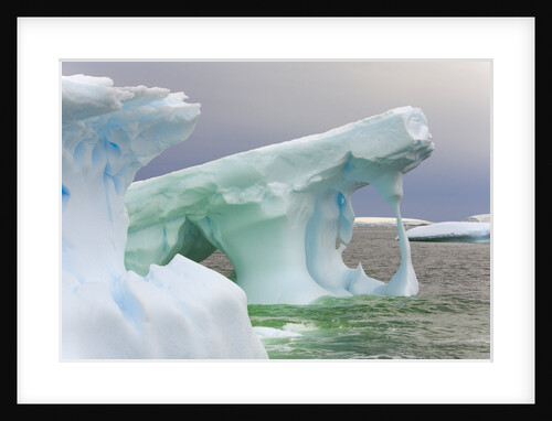Sculpted Icebergs Floating in Ocean by Anonymous