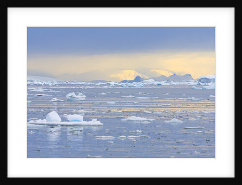 Ice Floating in the Southern Ocean by Anonymous