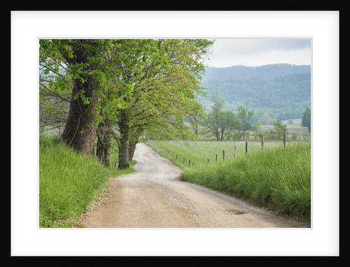 Rural Road in Cades Cove by Anonymous