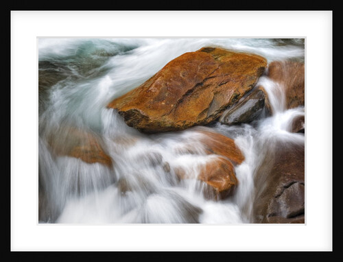 Stream in Great Smoky Mountains National Park by Anonymous
