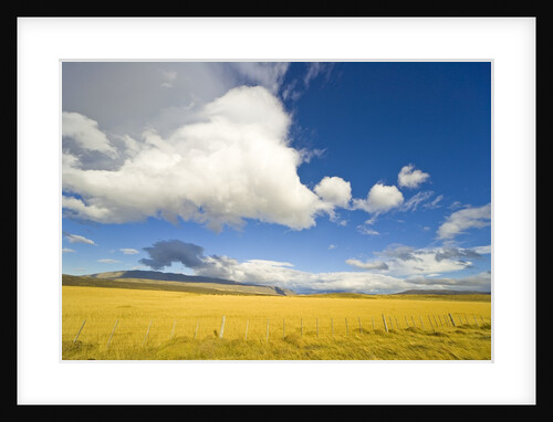 Cumulus Clouds Over Golden Pampas in Chile by Anonymous