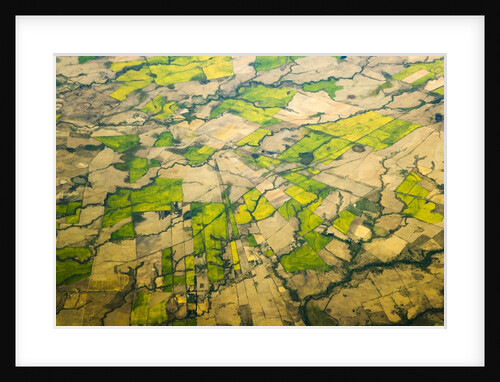 Green Agricultural Fields in Chile by Anonymous