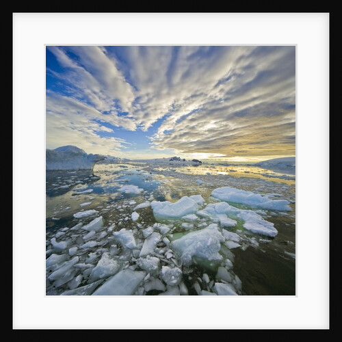 Bergy Bits in Holtedehl Bay Under an Evening Sky by Anonymous