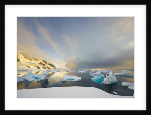 Evening Light on Mountains and Icebergs on Antarctic Peninsula by Anonymous