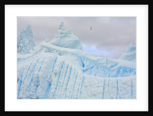 Stranded Icebergs Sculpted by Waves and Melt by Anonymous