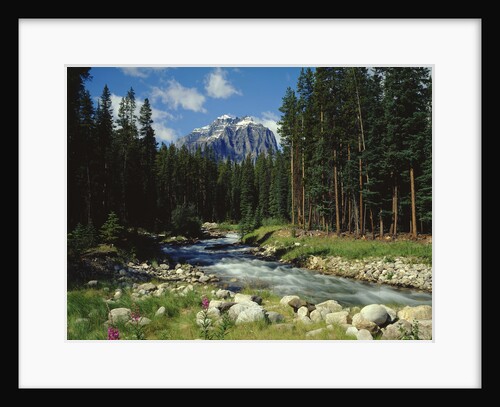 Mountain Stream Cascading over Rocks by Anonymous