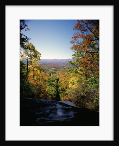 View into Valley from Amicalola Falls by Anonymous