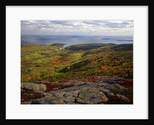 View from Top of Cadillac Mountain by Anonymous