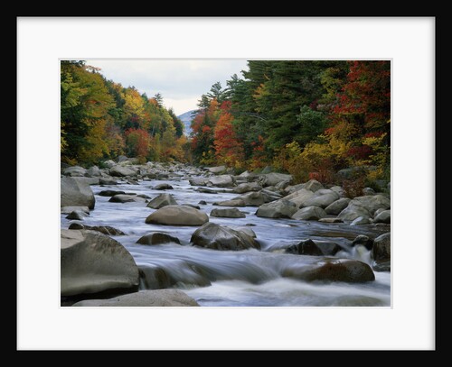 Swift River Flowing through Forest in Autumn by Anonymous