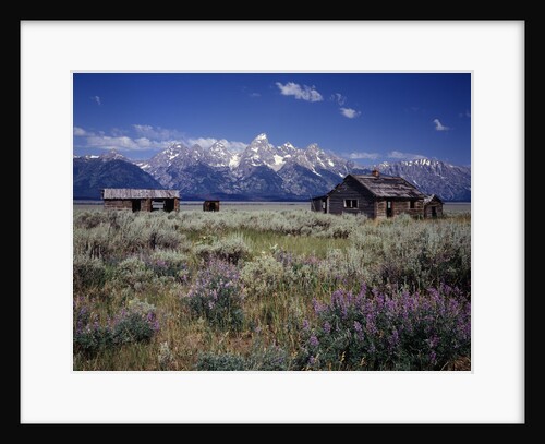 Pioneer Settlement at Jackson Hole by Anonymous