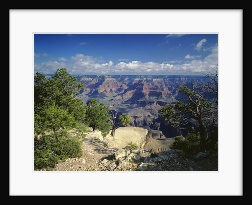 South Rim of Grand Canyon by Anonymous
