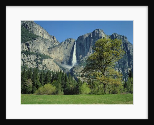 Yosemite Falls by Anonymous