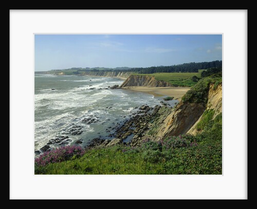 Sonoma Coast by Anonymous