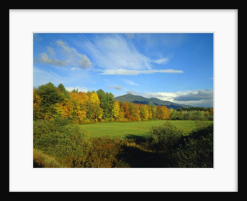 White Mountains by Anonymous