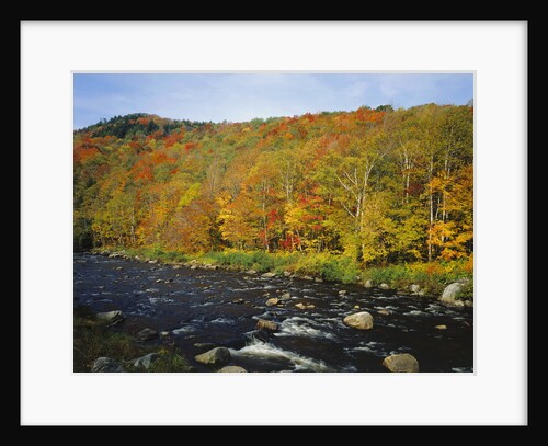 Autumn Colors Along Au Sable River by Anonymous
