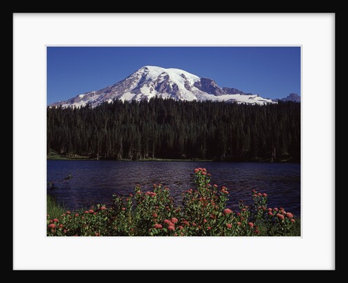 Reflection Lake, Mt. Rainier by Anonymous