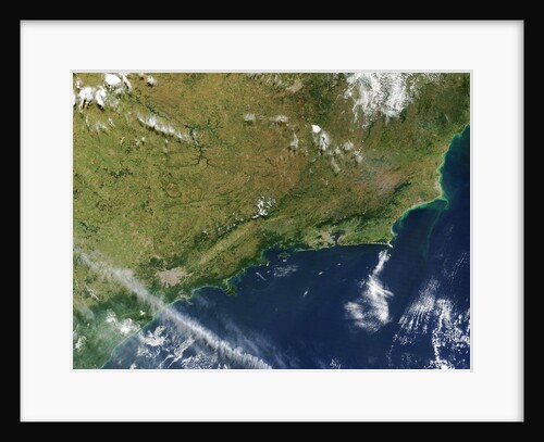 Deforestation in Southeast Brazil by Anonymous