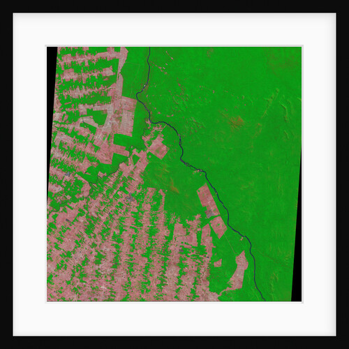 Deforestation in Rondonia State of Brazil by Anonymous