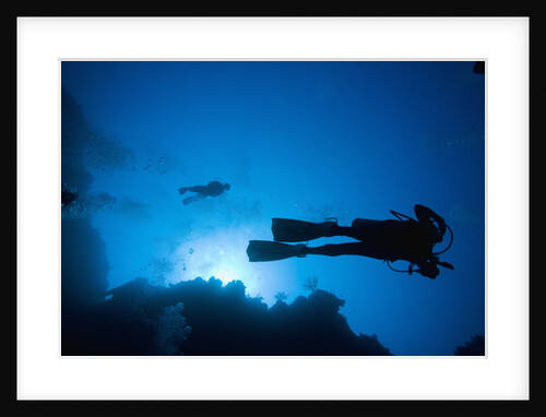 Scuba Divers Swimming near Reef by Anonymous