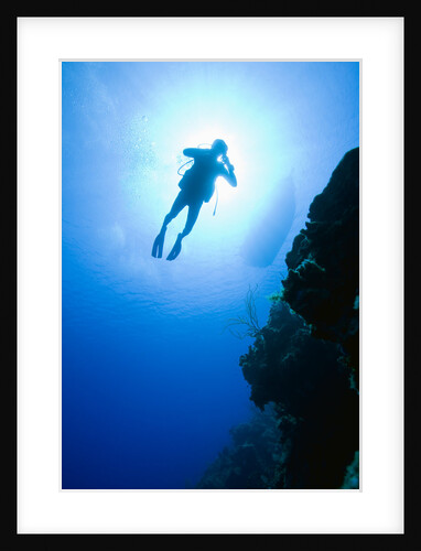 Scuba Diver near Bloody Bay Wall by Anonymous
