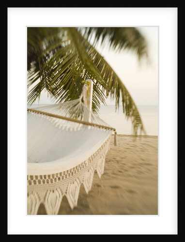 Woven Hammock under Palm Tree by Anonymous