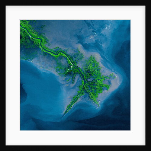 Mississippi Delta Acquired by the Landsat 7 Satellite by Anonymous