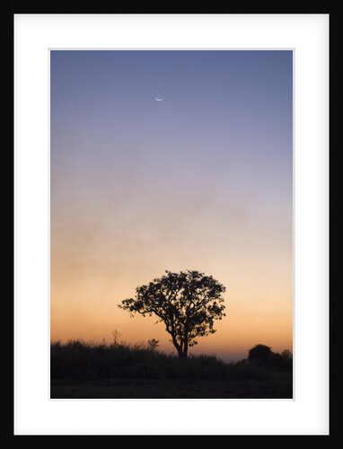 Sunset Over the Busanga Plains by Anonymous