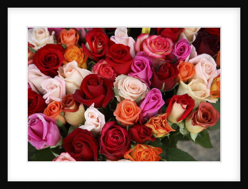 Roses for Sale at Flower Market by Anonymous