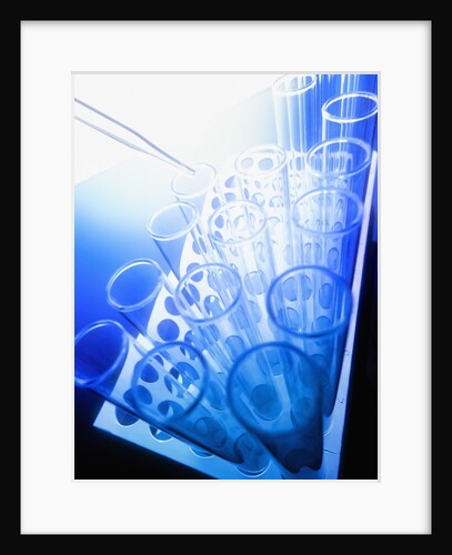 Test Tubes in Tray by Anonymous