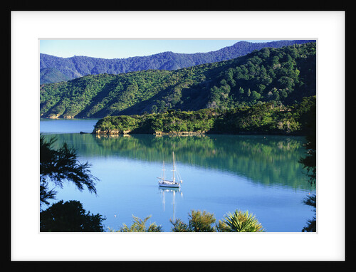 Marlborough Sound in New Zealand by Anonymous