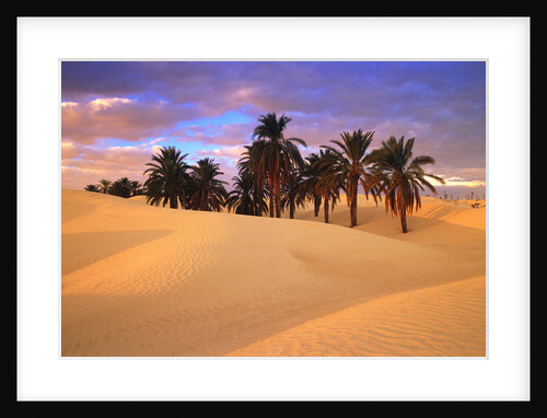 Sahara Desert in Tunisia by Anonymous