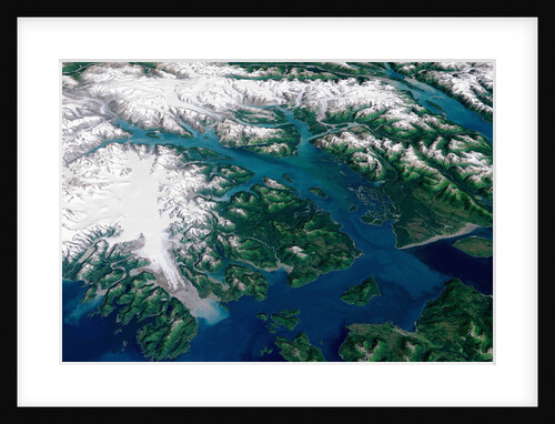 Glaciers Melting into Glacier Bay by Anonymous
